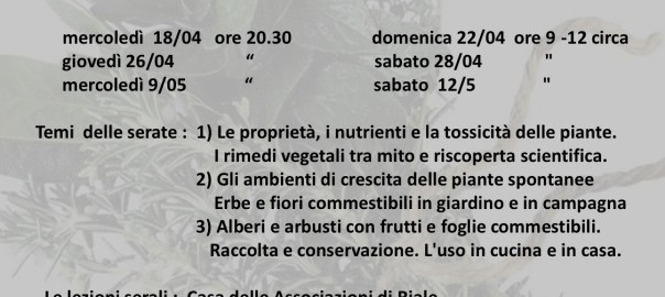 Volantino delle erbe